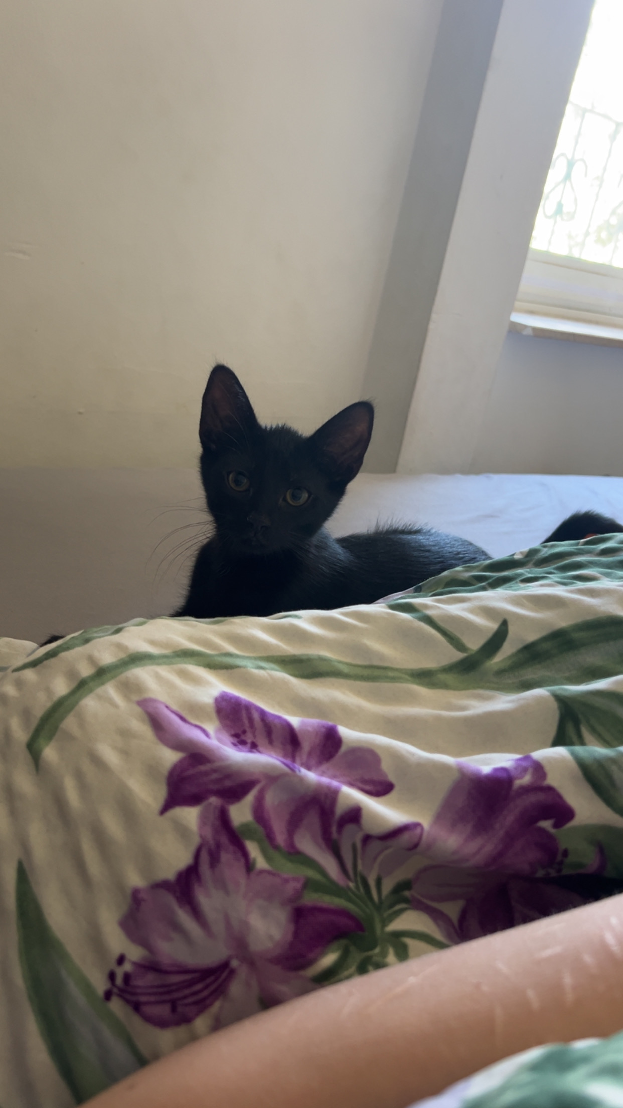 Salem